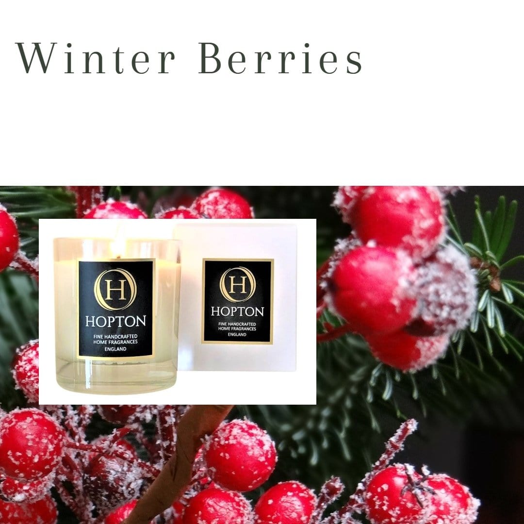 Winter Berries