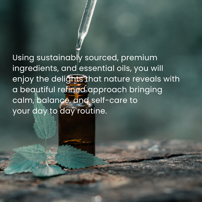 RELAX & RECHARGE WINTER WORKSHOP