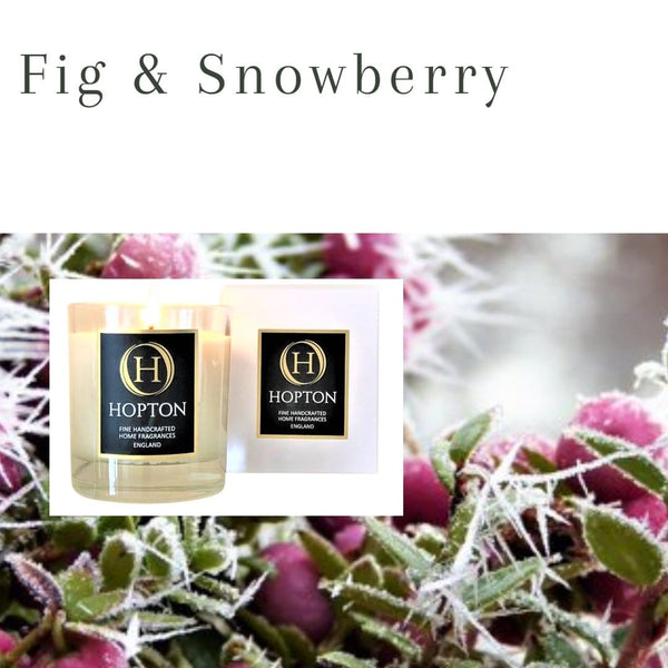 Fig & Snowberry