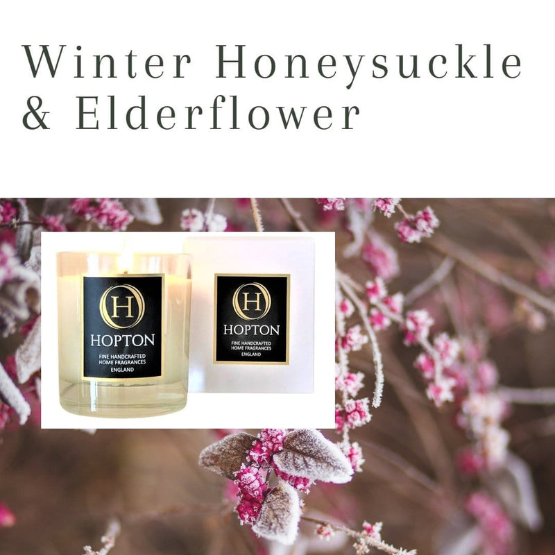 Winter Honeysuckle & Elderflower